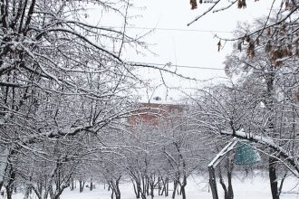 Сильный снег передают в Иркутской области на 13 апреля