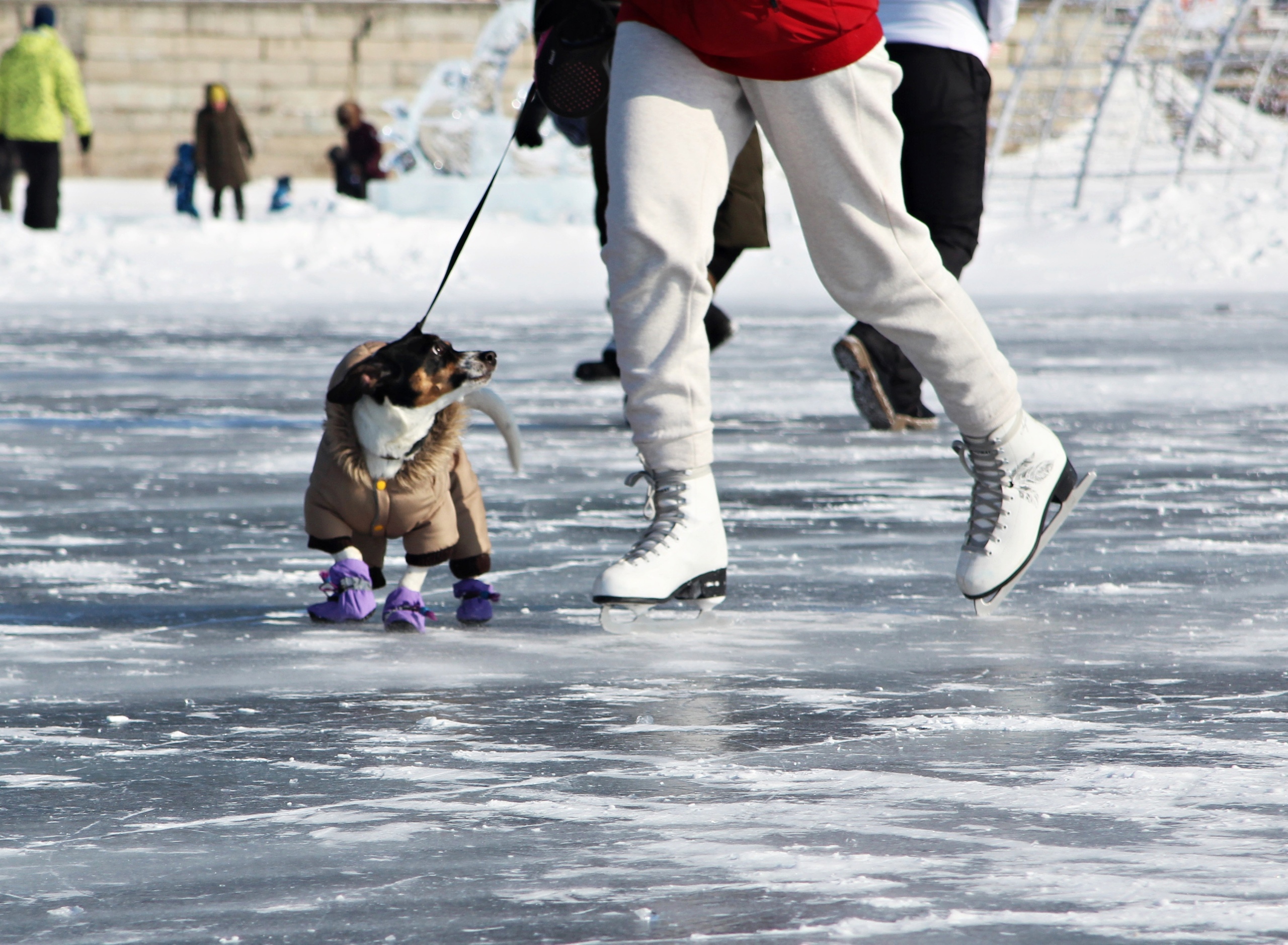 В Иркутске заработали 40 пространств для массового катания на коньках