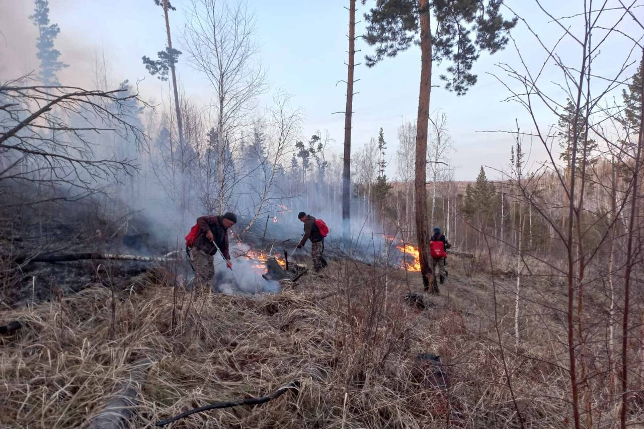 В Иркутской области за сутки ликвидировали 11 лесных пожаров