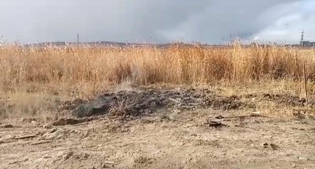В «Птичьей гавани» в Иркутске предотвратили возгорание