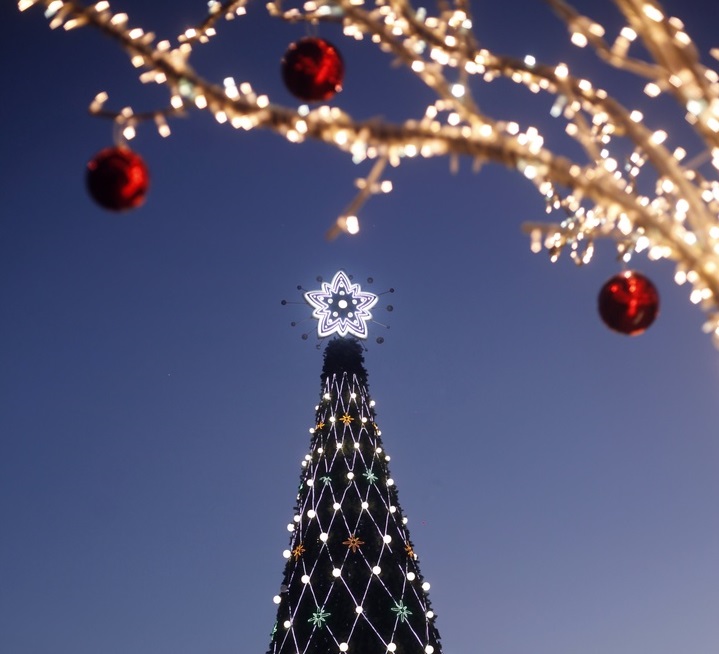В сквере Кирова в Иркутске начали устанавливать новогоднюю елку