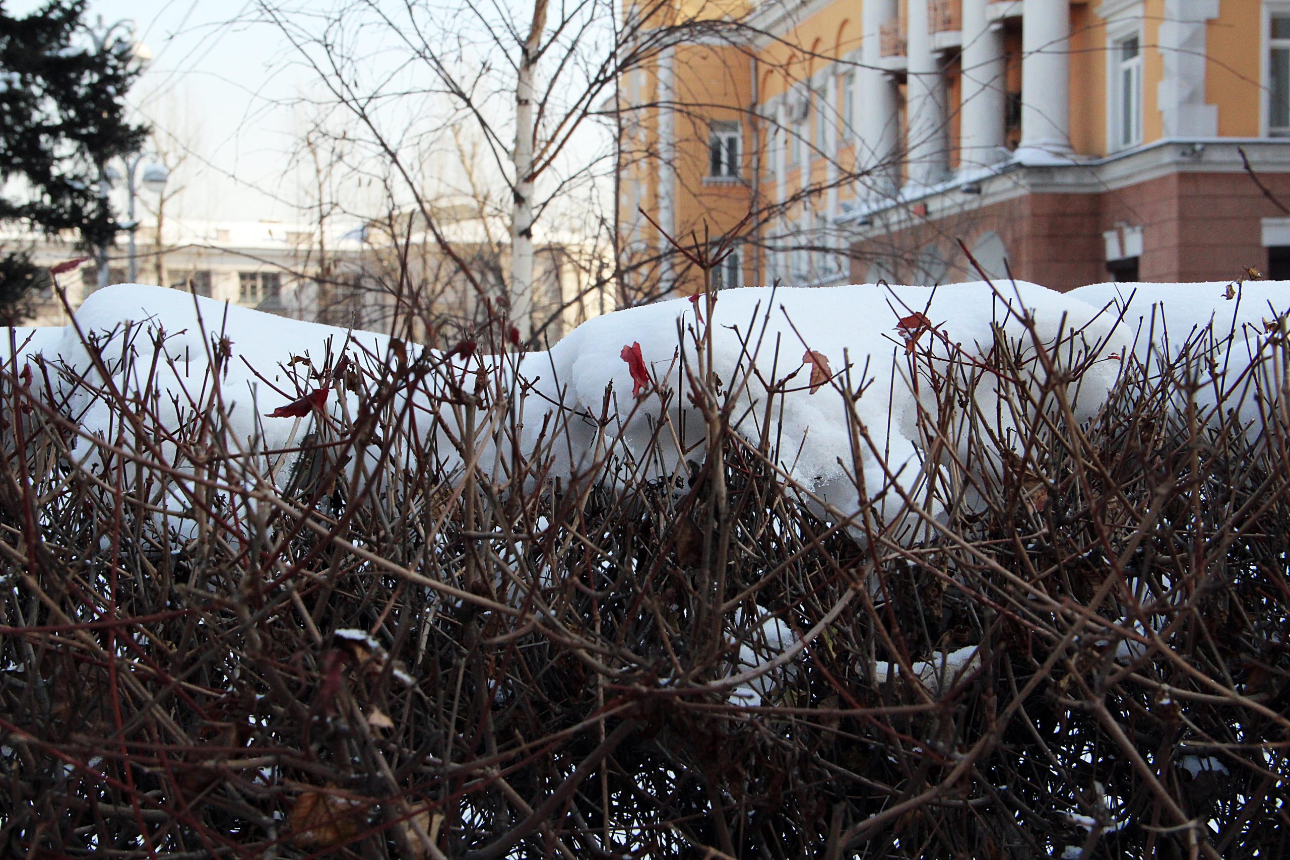 В воскресенье иркутян ждут снег и ветер до 11 метров в секунду