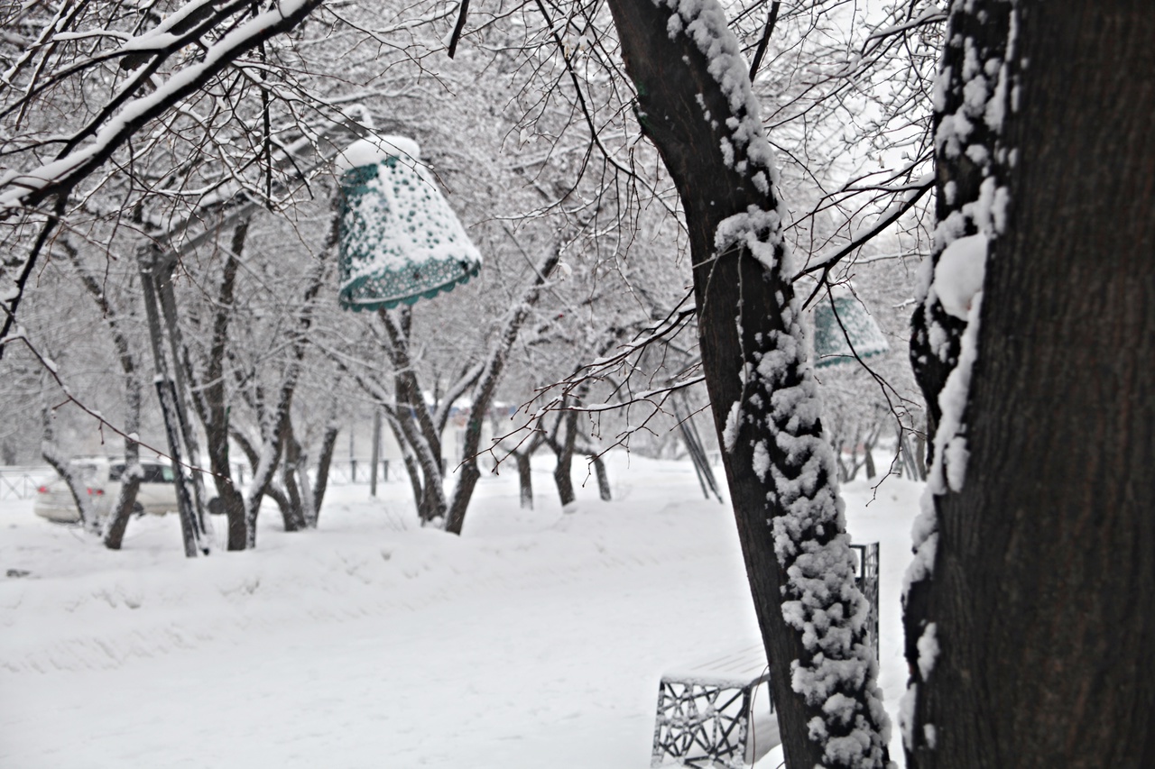 Ветер и снег сохранятся в Приангарье во вторник, 21 марта