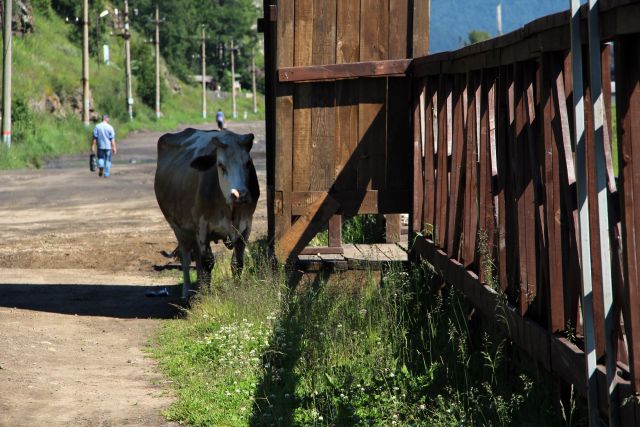 Жителям Иркутского округа начнут выплачивать компенсации уже сегодня
