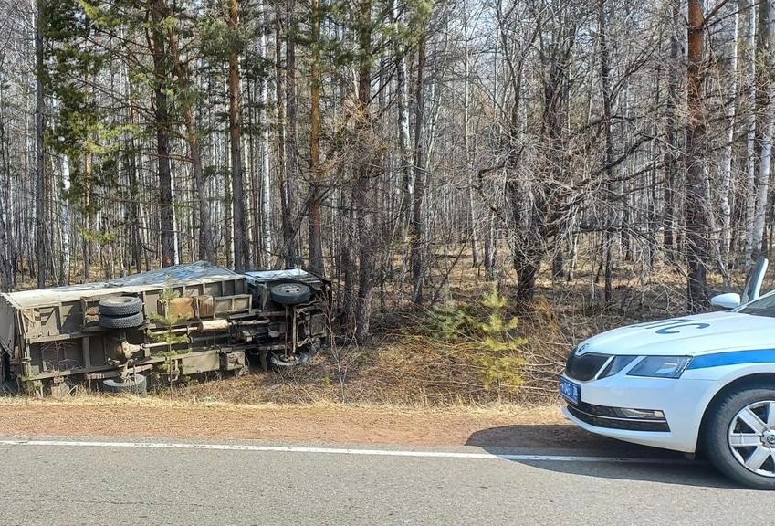 Водитель и две коровы погибли в ДТП в Нукутском районе 23 апреля