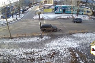 Водитель Мицубиси сбил первоклассницу на пешеходном переходе в Усть-Кутском районе