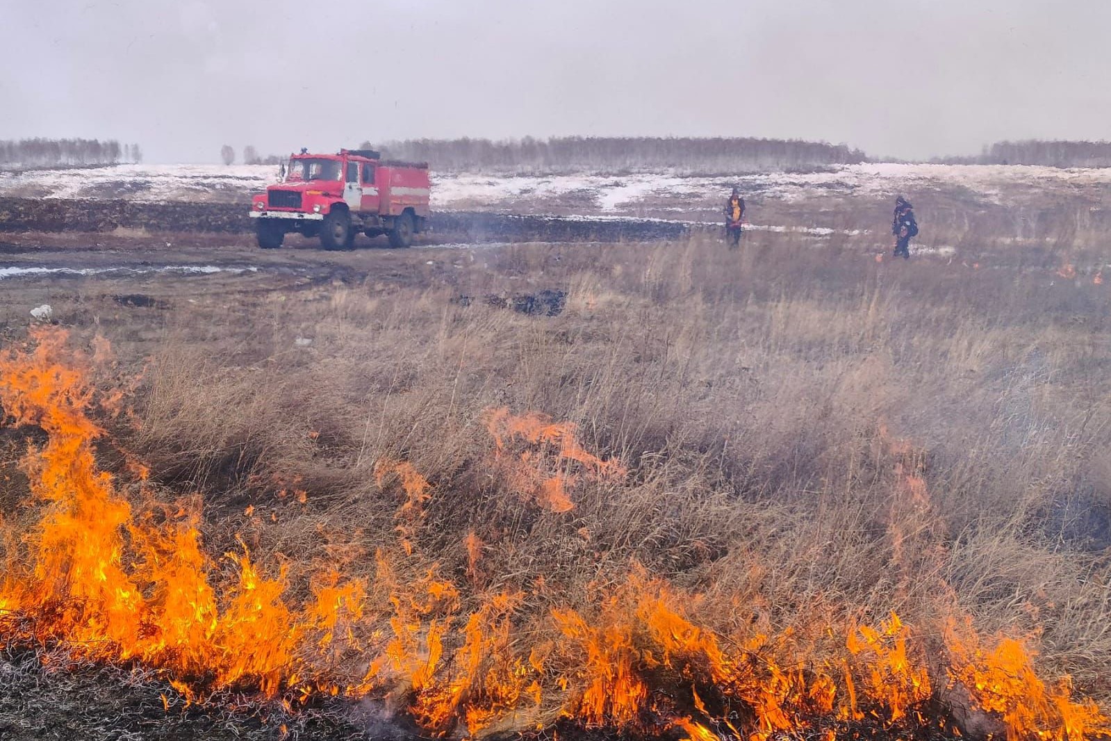 Шесть лесных пожаров потушили в Иркутской области за сутки 25 апреля