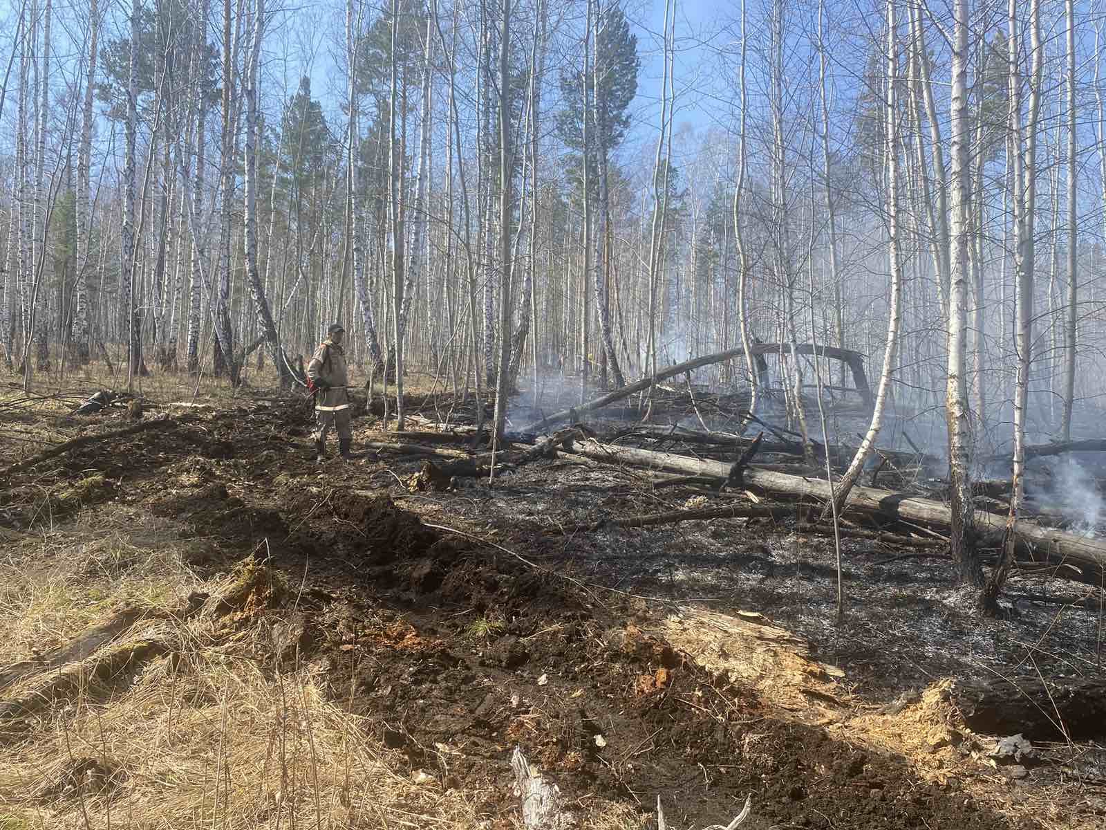 За сутки 29 апреля в Иркутской области потушили 11 лесных пожаров