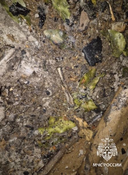 51-летняя ангарчанка погибла при пожаре из-за непотушенной сигареты