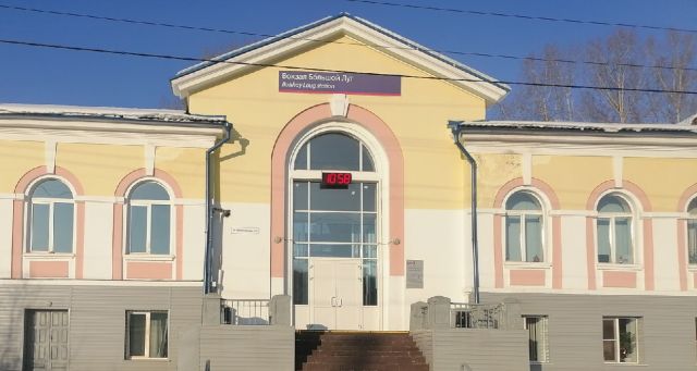 Медведь задрал домашнюю собаку в поселке Большой Луг