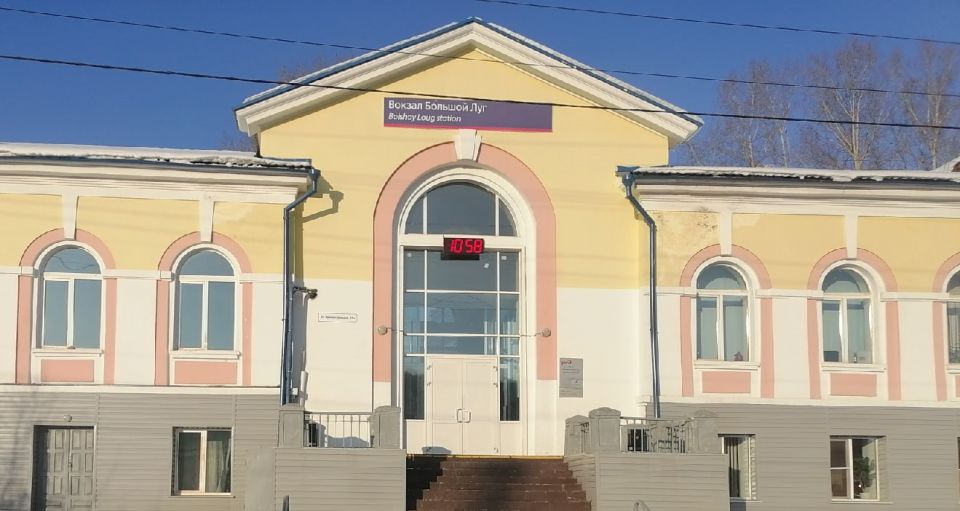 Медведь задрал домашнюю собаку в поселке Большой Луг