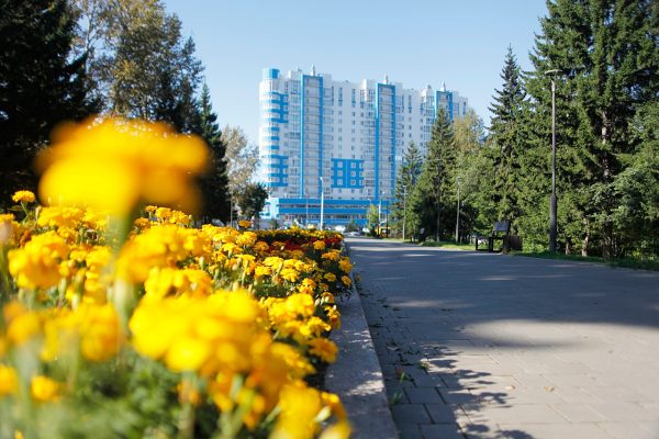 Главные новости Иркутска и Иркутской области