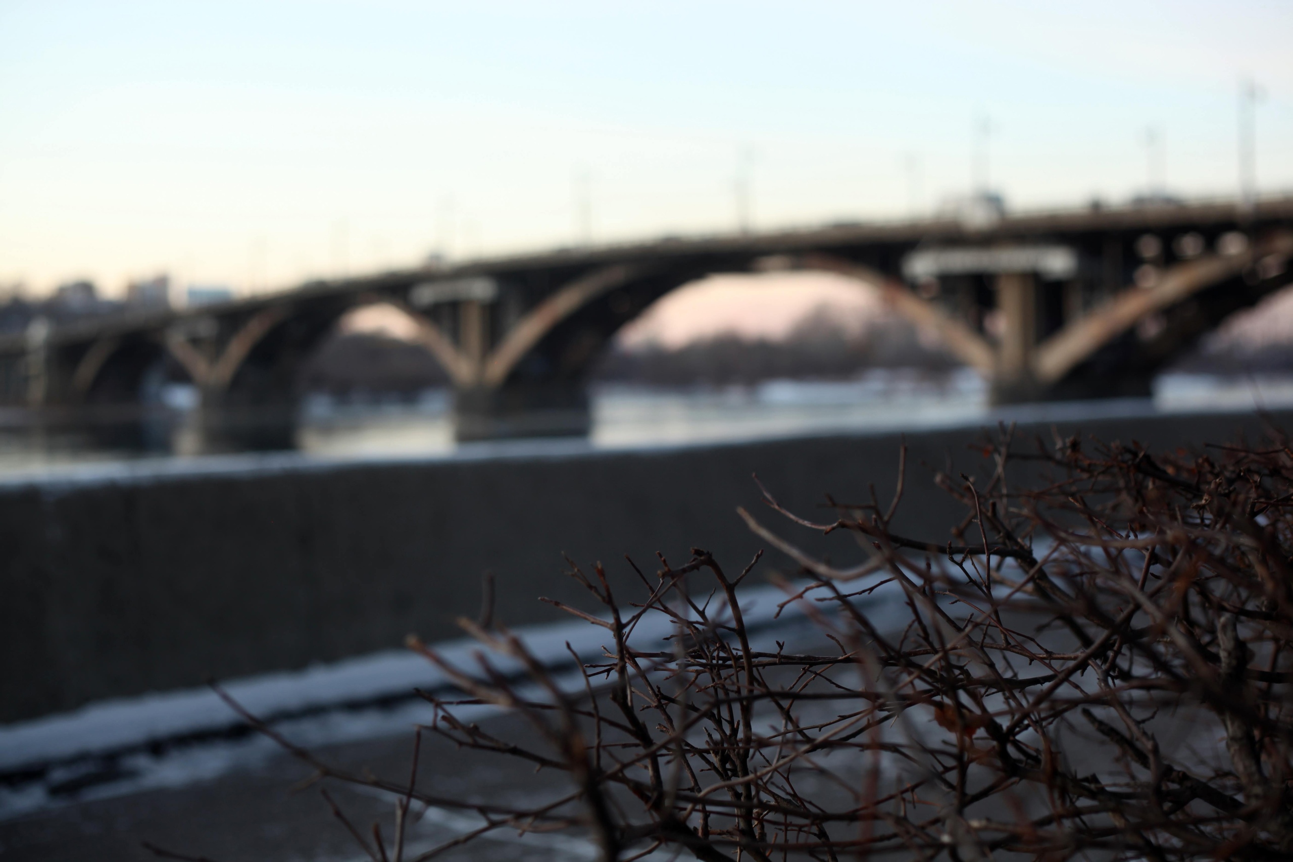 За сутки коронавирусом заболели 492 жителя Иркутской области