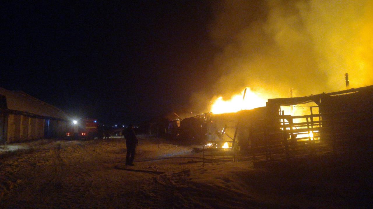 Здание мельницы и склад сгорели в Тулуне 29 декабря