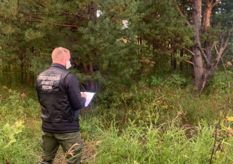 Жительница Нижнеудинска задушила бывшего мужа и закопала в лесу